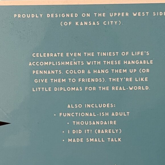 Snarky Velvet Pennant Coloring Kit with 5 Hangable Pennants and 8 Markers (new)x - Picture 4 of 12